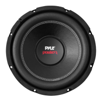 Preview: Pyle Power PLPW12D