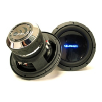 Preview: Massive Audio RW10 Stage 2