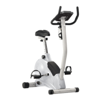 Preview: Schwinn 206 Recumbent Bike