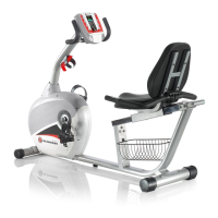Preview: Schwinn 250 Recumbent Bike