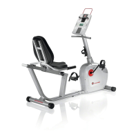 Preview: 220 Recumbent Bike 2012 model