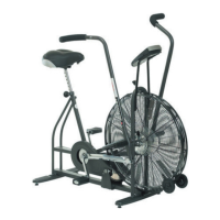 Preview: Schwinn Airdyne Evolution Comp