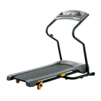 Preview: Weslo Cadence M5 Treadmill