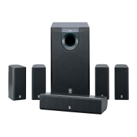 Preview: Yamaha NS-P100