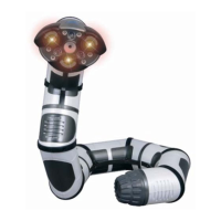 Preview: WowWee Roboboa