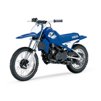Preview: Yamaha PW80(X)