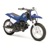 Preview: Yamaha PW50(A1)
