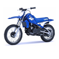 Preview: Yamaha PW80(V)