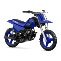 Preview: Yamaha PW80(N)