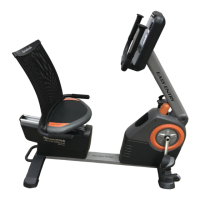 Preview: R400 Audio Rider Bike