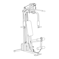 Preview: Weider 8507