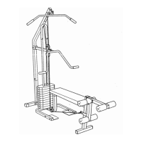 Preview: Weider Cobra 1000