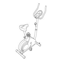 Preview: Weslo Pursuit 103 Bike