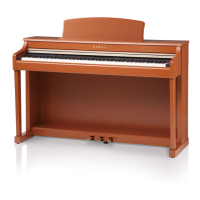 Preview: Kawai CN34