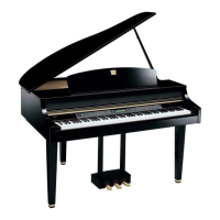 Preview: Kawai CP 209