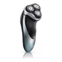 Preview: Philips PT919