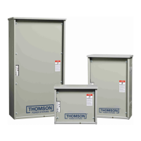 Preview: THOMSON TS 910