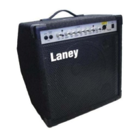Preview: Laney RICHTER RBW100