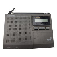 Preview: Radio Shack 12-250