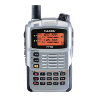 Preview: Yaesu FT1DR