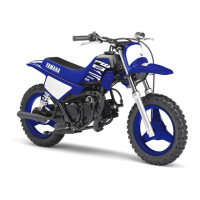 Preview: Yamaha PW50(N)