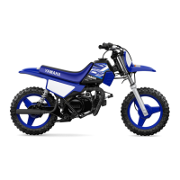 Preview: Yamaha PW50(P)