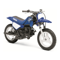 Preview: Yamaha PW50(V)