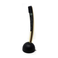 Preview: Bang & Olufsen BEOCOM 2