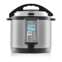 Preview: Sunbeam PE6100 Aviva