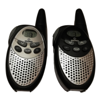 Preview: BRONDI FX-3 TWIN PMR 446
