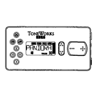 Preview: Korg Pandora PX2