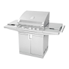 Grill Logo