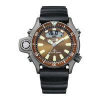 Preview: Citizen C520