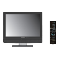 Preview: Grundig GU19WDVDT