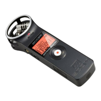 Preview: Zoom H1