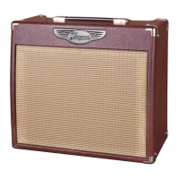 Preview: Traynor Custom Valve 20