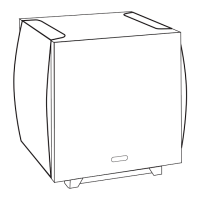 Preview: Newton P1000