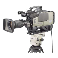 Preview: Ikegami HDK-790E