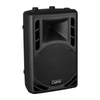 Preview: CARVIN PM10