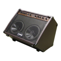 Preview: Laney LA65D