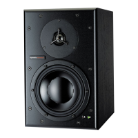 Preview: Dynaudio BM 6A