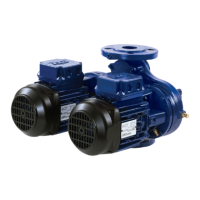 Preview: SmedeGard power pumps