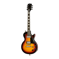 Preview: Les Paul Standard 2010 LTD