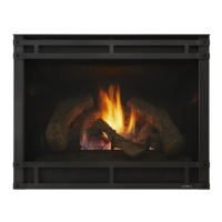 Preview: Hearth & Home DV3732SBI