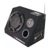 Speaker System Logo