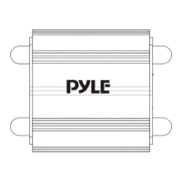 Preview: pyle Hydra PLMRKT2A
