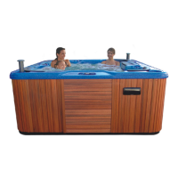 Preview: Platinum Hot Tubs Platinum II