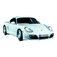 Preview: Porsche CAYMAN