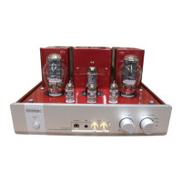 Preview: TRIODE TRV-A300SER