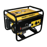 Preview: Champion Power Equipment C46540
